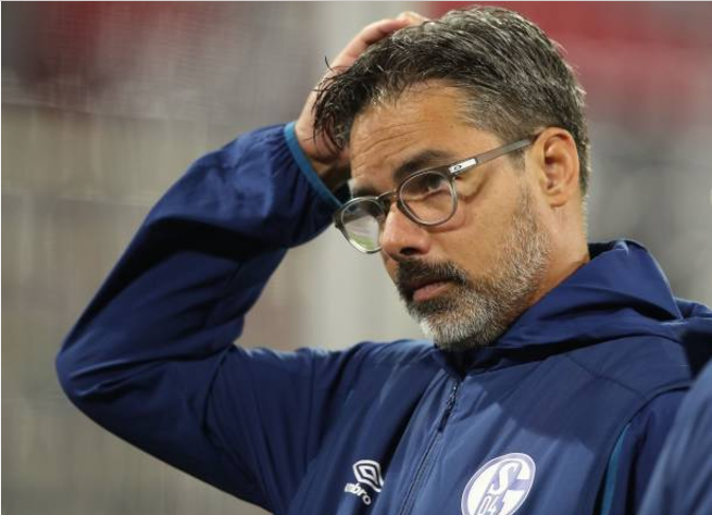 沙尔克主场尴尬失利,战绩堪忧的简单介绍 沙尔克主场尴尬失利,战绩堪忧的简单介绍