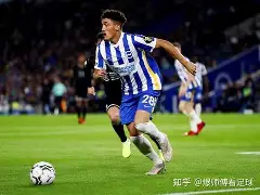 爱游戏网页版-白礼顿主场大捷，继续保持升班马气势的简单介绍